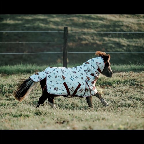 RUG4385 SKI-02 